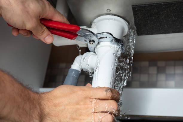Best 24/7 water damage repair  in Lake Dalecarlia, IN