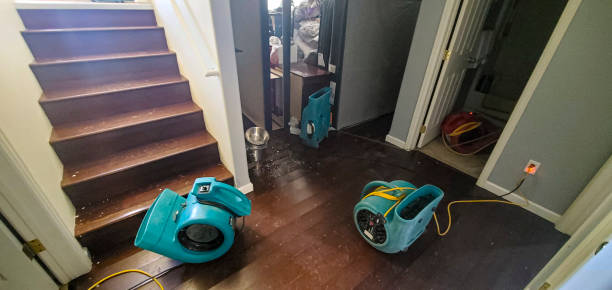 Best Water damage repair service  in Lake Dalecarlia, IN