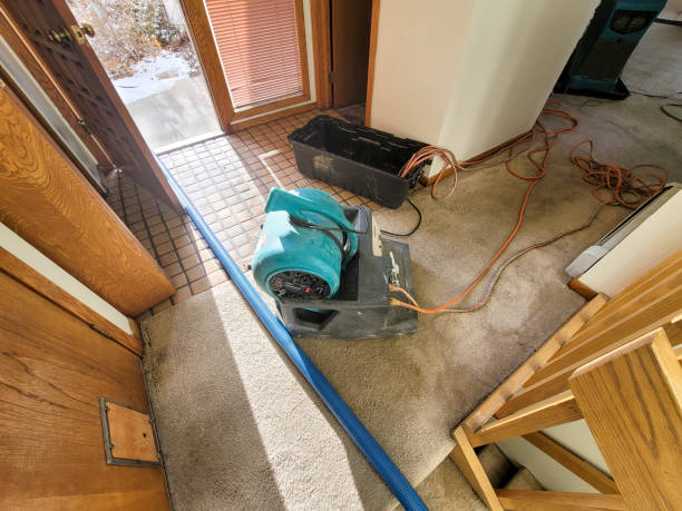 Best Water damage restoration near me  in Lake Dalecarlia, IN