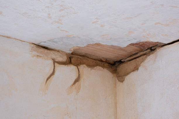 Best Emergency water damage restoration  in Lake Dalecarlia, IN