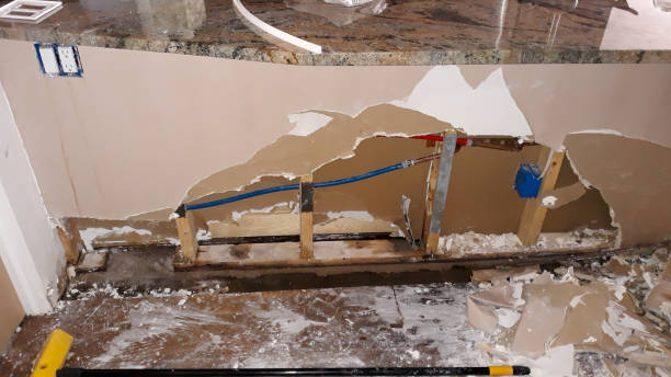 Best Mold removal after water damage  in Lake Dalecarlia, IN