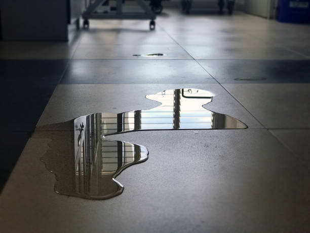 Best Commercial water damage restoration  in Lake Dalecarlia, IN