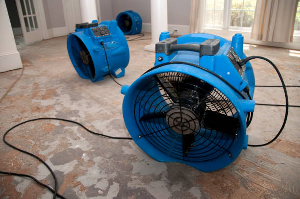 Best Carpet water damage restoration  in Lake Dalecarlia, IN