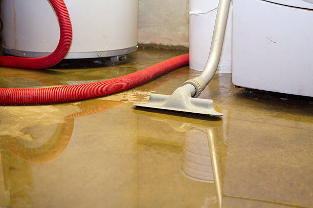 Best Water damage restoration near me  in Lake Dalecarlia, IN