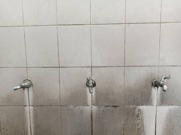 Best Carpet water damage restoration  in Lake Dalecarlia, IN