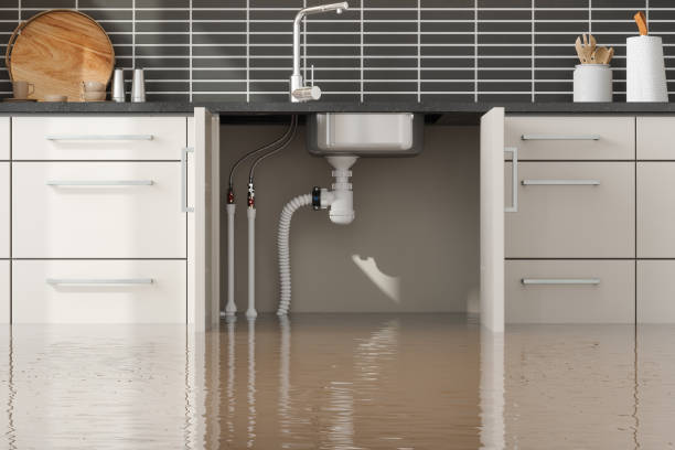  Lake Dalecarlia, IN Water damage restoration Pros
